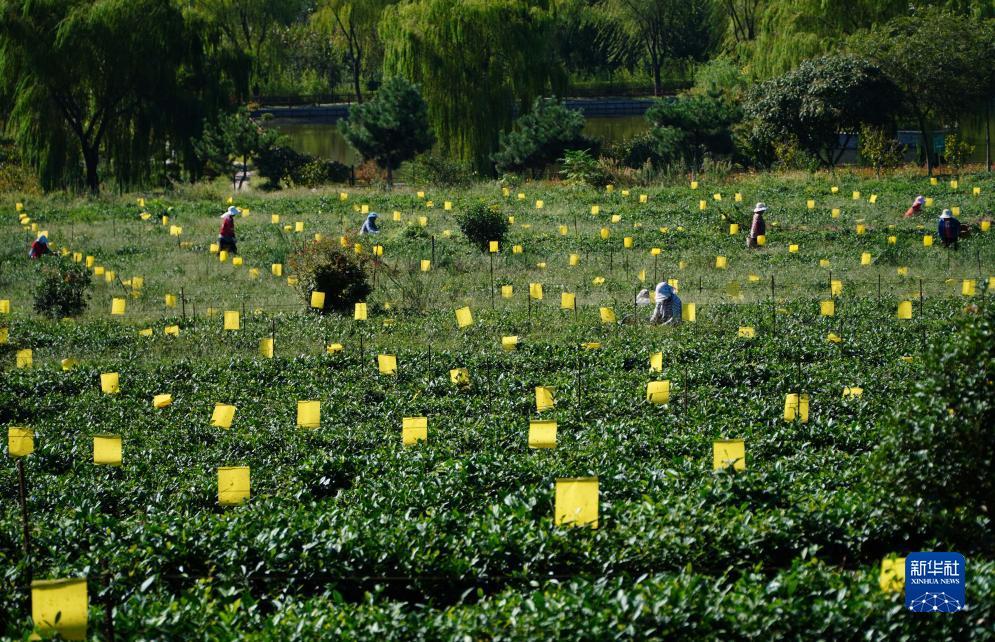 正规网投在线下载